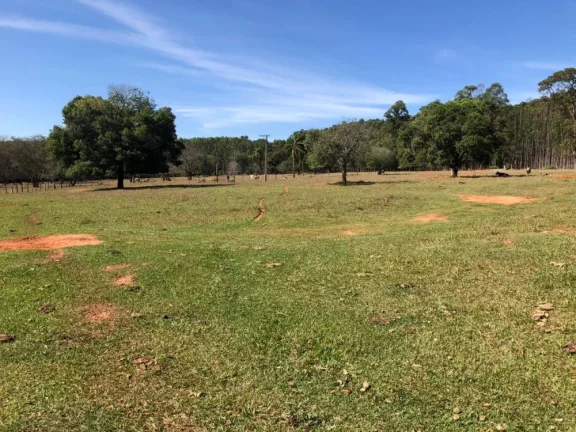 Imagem Sítio a VENDA, Paulistânia/SP