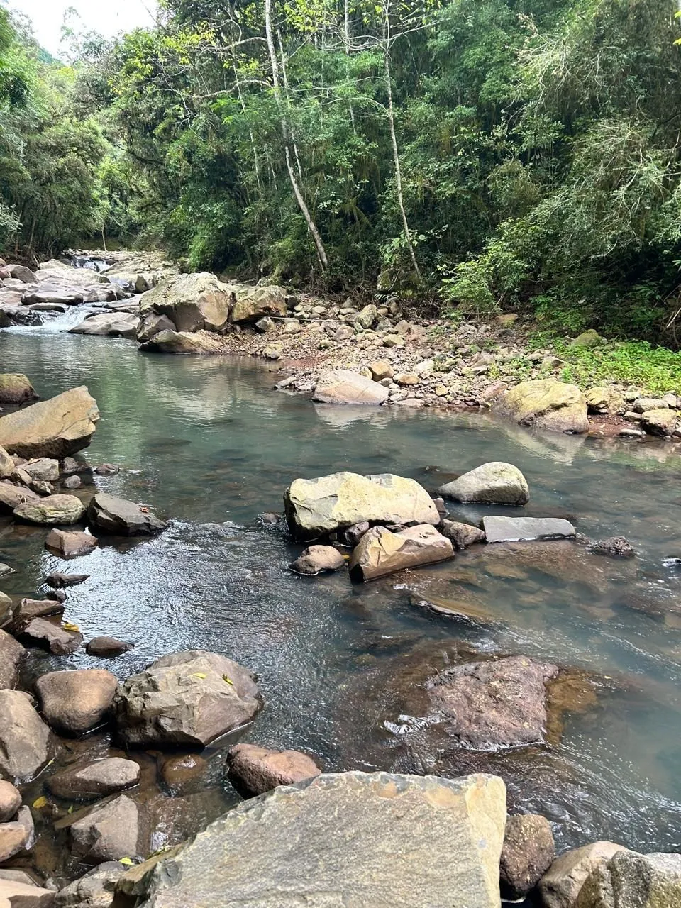 Imagem Chácara à venda em Caxias do Sul, Santa Lúcia do Piaí, 103471.89m2