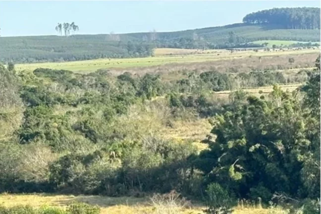 Foto do imóvel Fazenda/Sítio para venda em Tapes