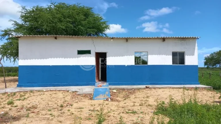 Imagem Fazenda à venda em Jandaíra - 300 hectares com alto potencial produtivo
