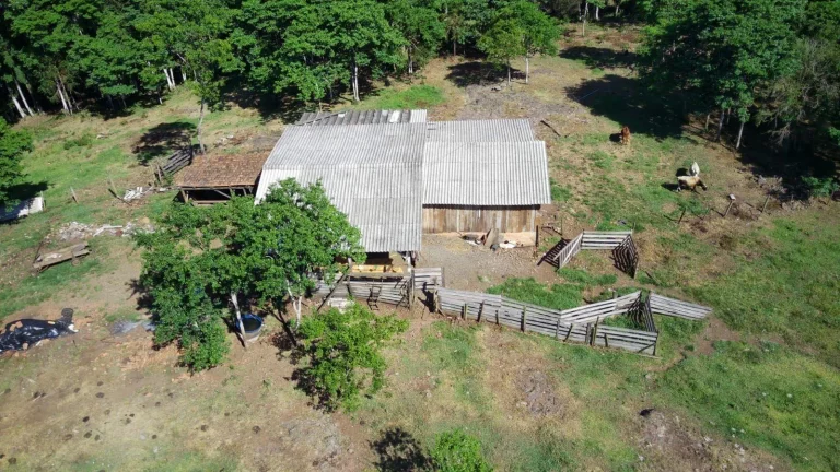 Imagem Área Agrícola para Venda em Arabuta, Centro