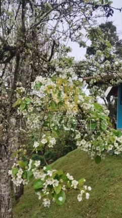 Imagem Belissima Casa Estilo Suiço 203m² 4 Dormitórios 2 Banheiros em Campos do Jordão