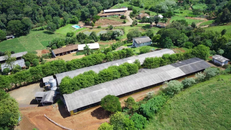 Imagem Área Agrícola para Venda em Arabuta, Rodovia