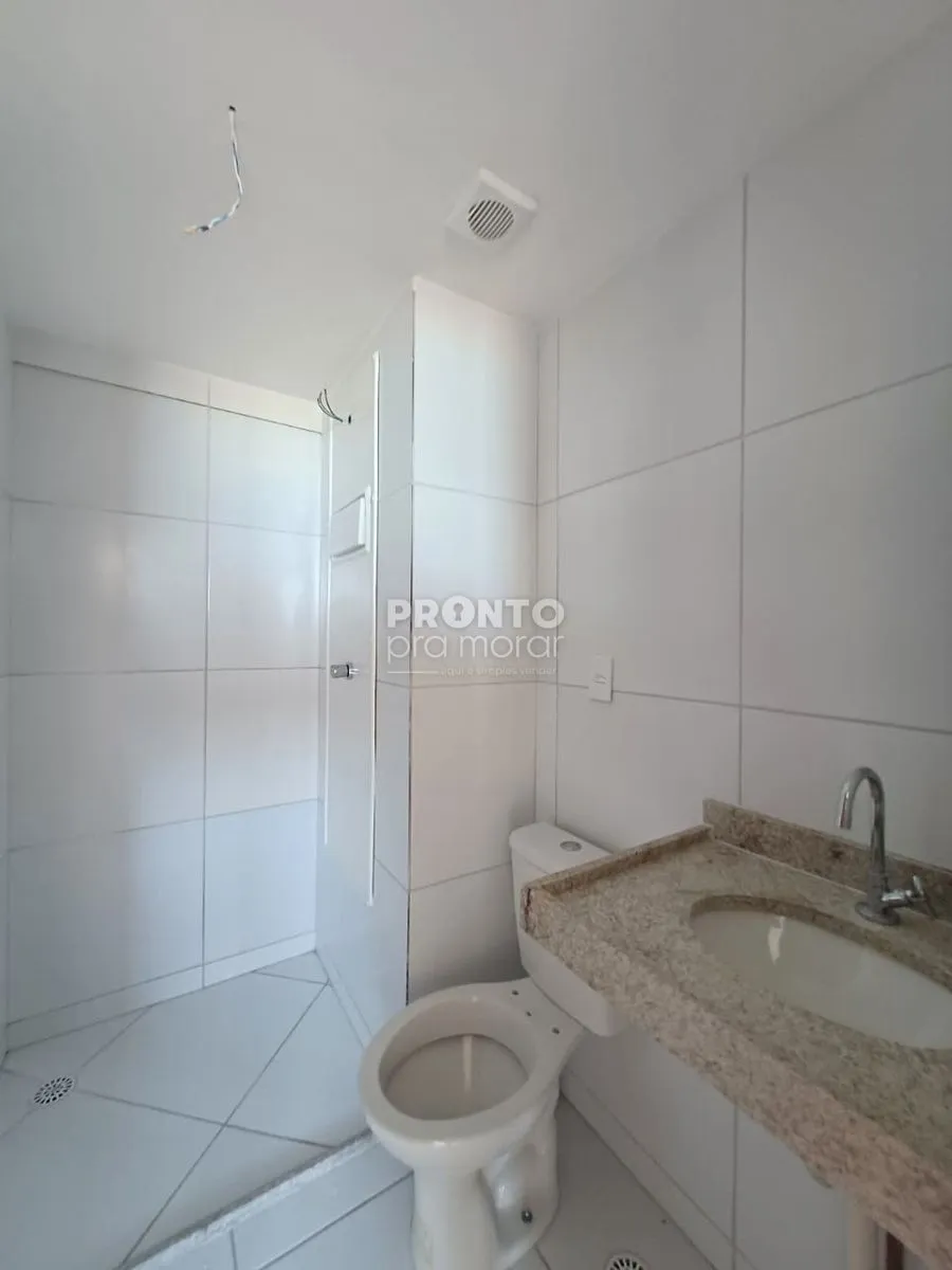 Imagem Clara Nunes