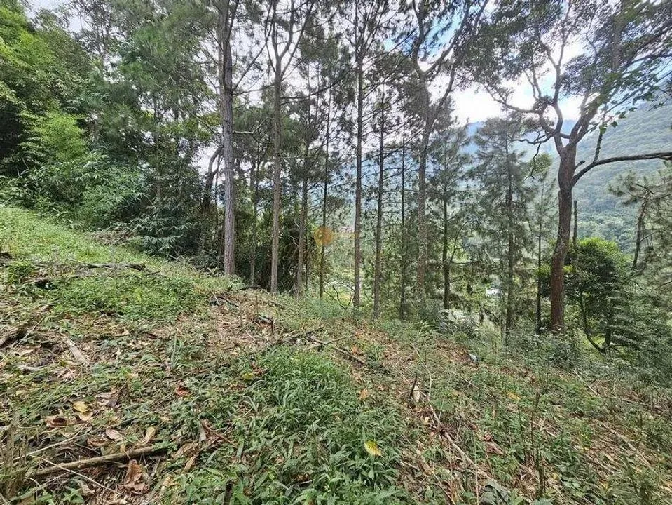 Imagem Terreno para Venda em Teresópolis / RJ no bairro Cascata dos Amores