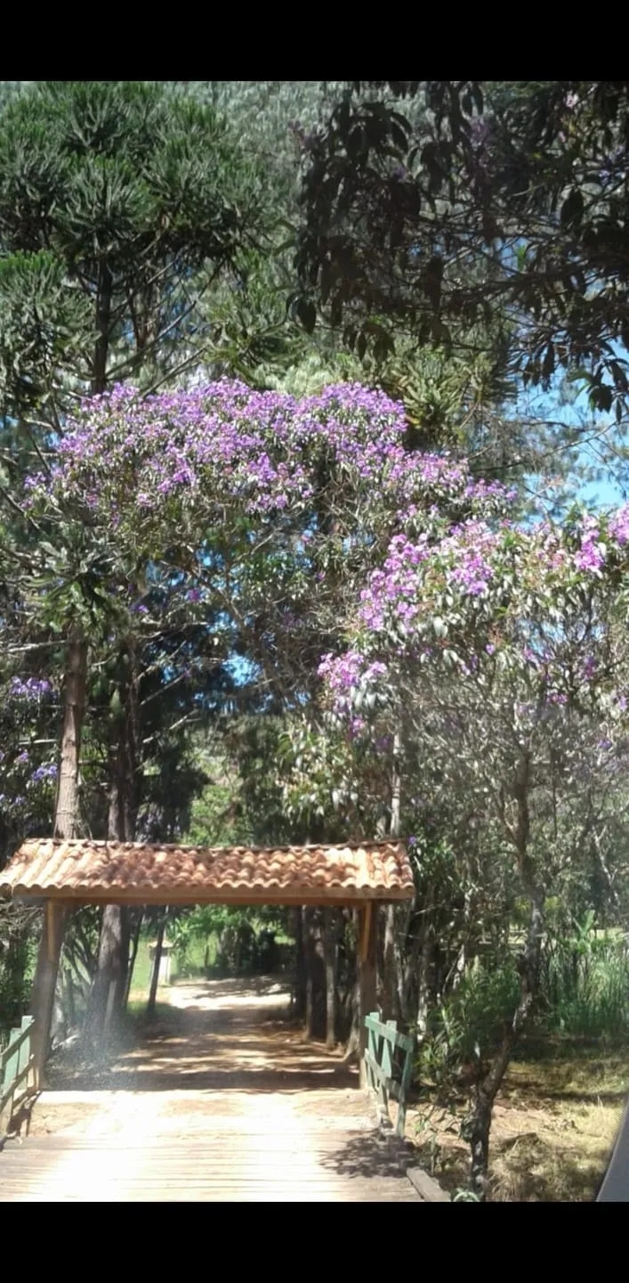 Imagem Chácara à venda 4 Quartos, 1 Suite, 350000M², Zona Rural, Cunha - SP