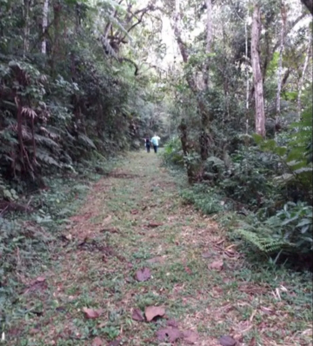 Imagem Chácara à venda 2 Quartos, 1 Suite, 170000M², Zona Rural, Paraibuna - SP