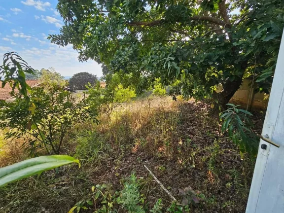 Imagem Casa à Venda