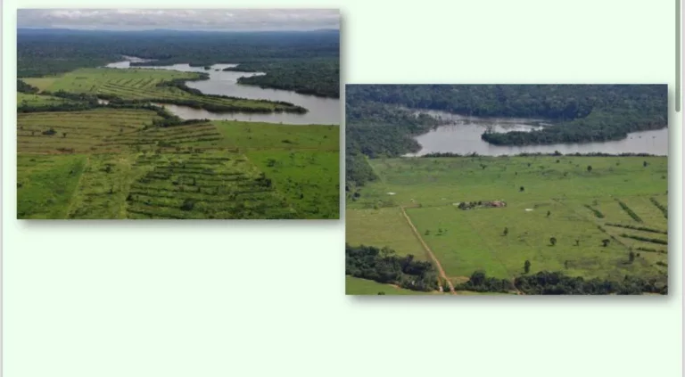 Imagem Área - Propriedade à Venda - MT