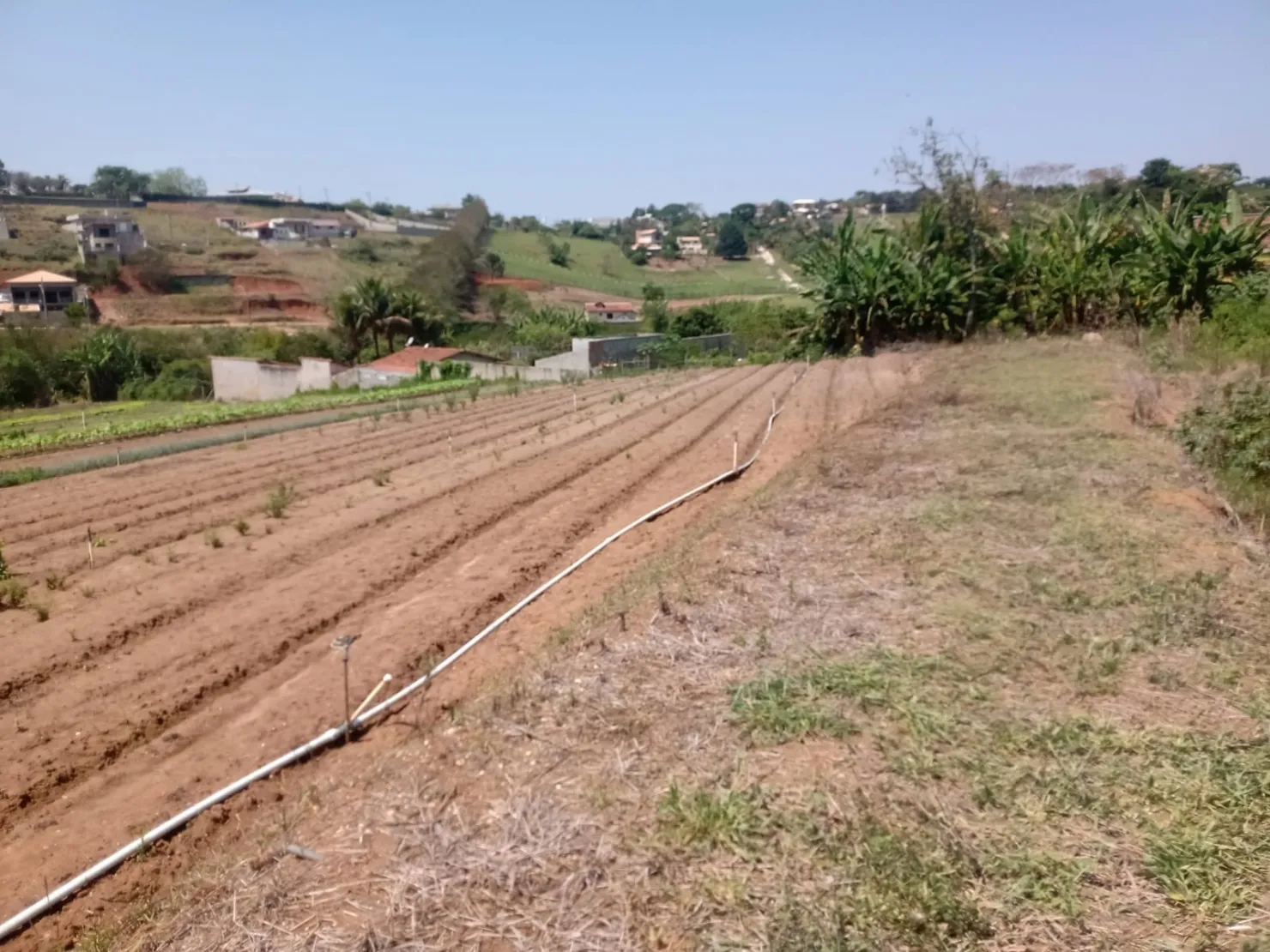 Imagem Casa à venda 4 Quartos, 1 Suite, 6 Vagas, 15000M², Barreiro, Taubaté - SP