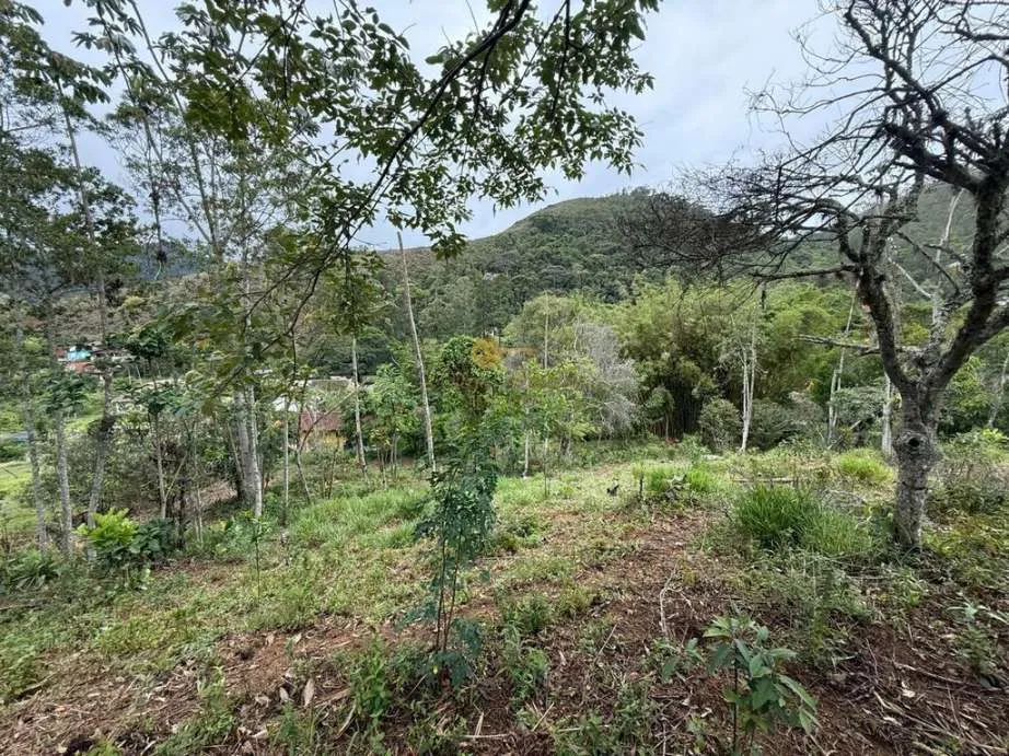 Imagem Terreno para Venda em Teresópolis / RJ no bairro Vargem Grande