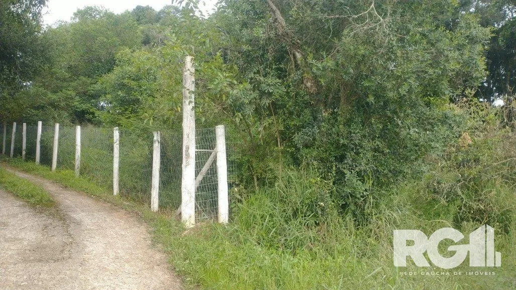 Imagem Terreno em Fiuza