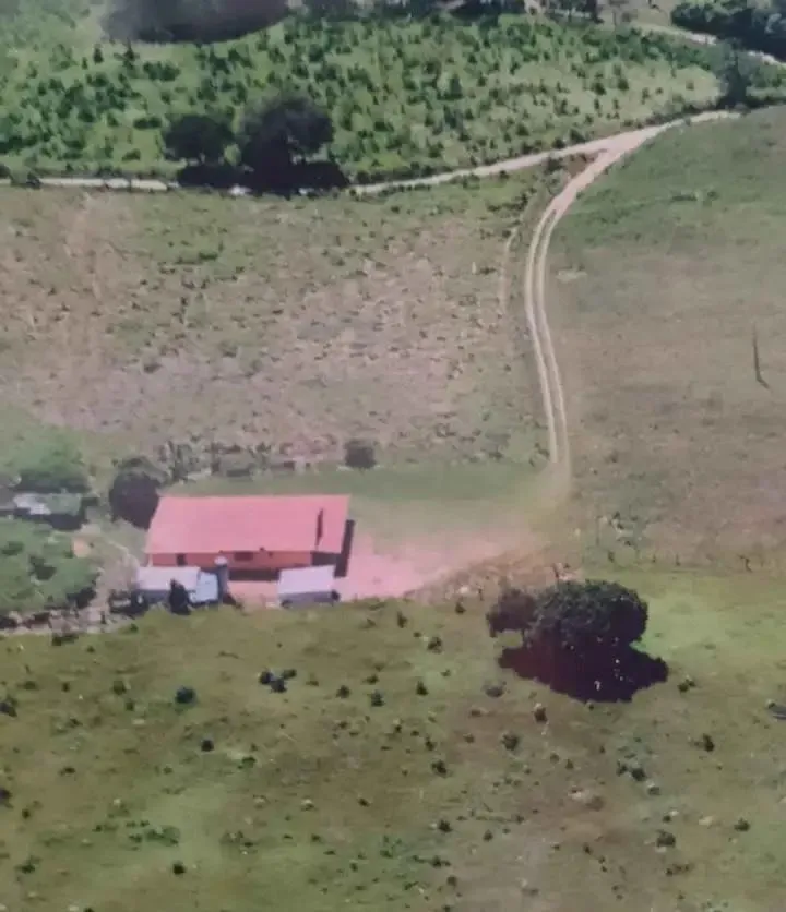 Imagem Vendo um excelente sítio em Piedade dos Gerais/MG, com 5,6 hectares (56.000 m²)