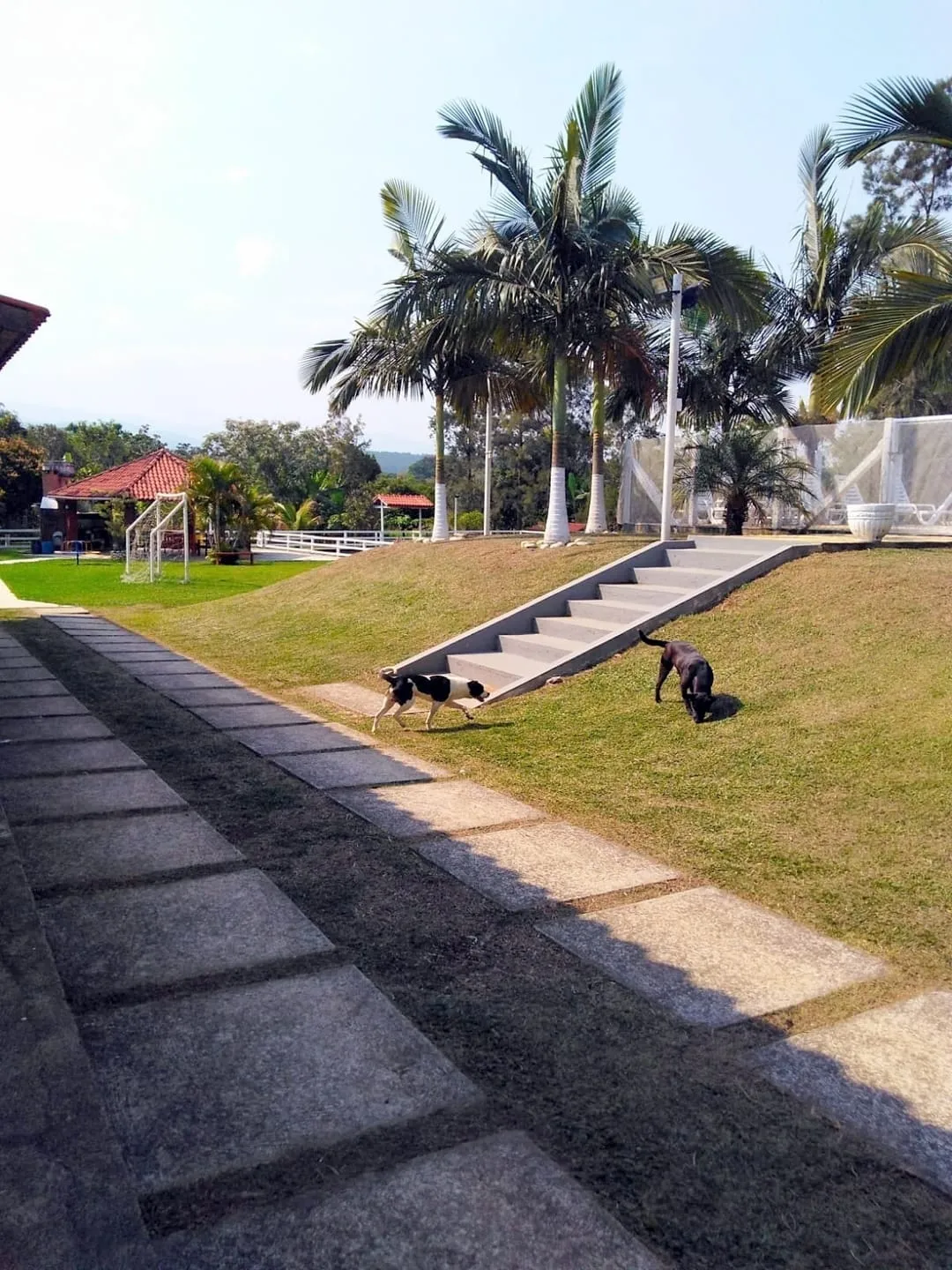 Imagem Chácara à venda 5 Quartos, 3 Suites, 10 Vagas, 5000M², Zona Rural, Guaratinguetá - SP