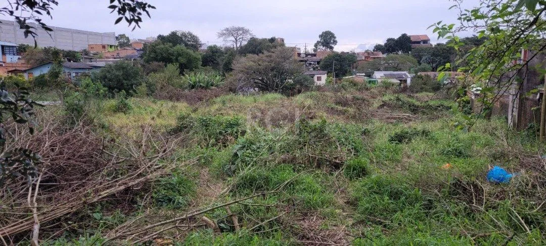 Imagem Terreno para Venda - 3.037m² no bairro Campo Novo