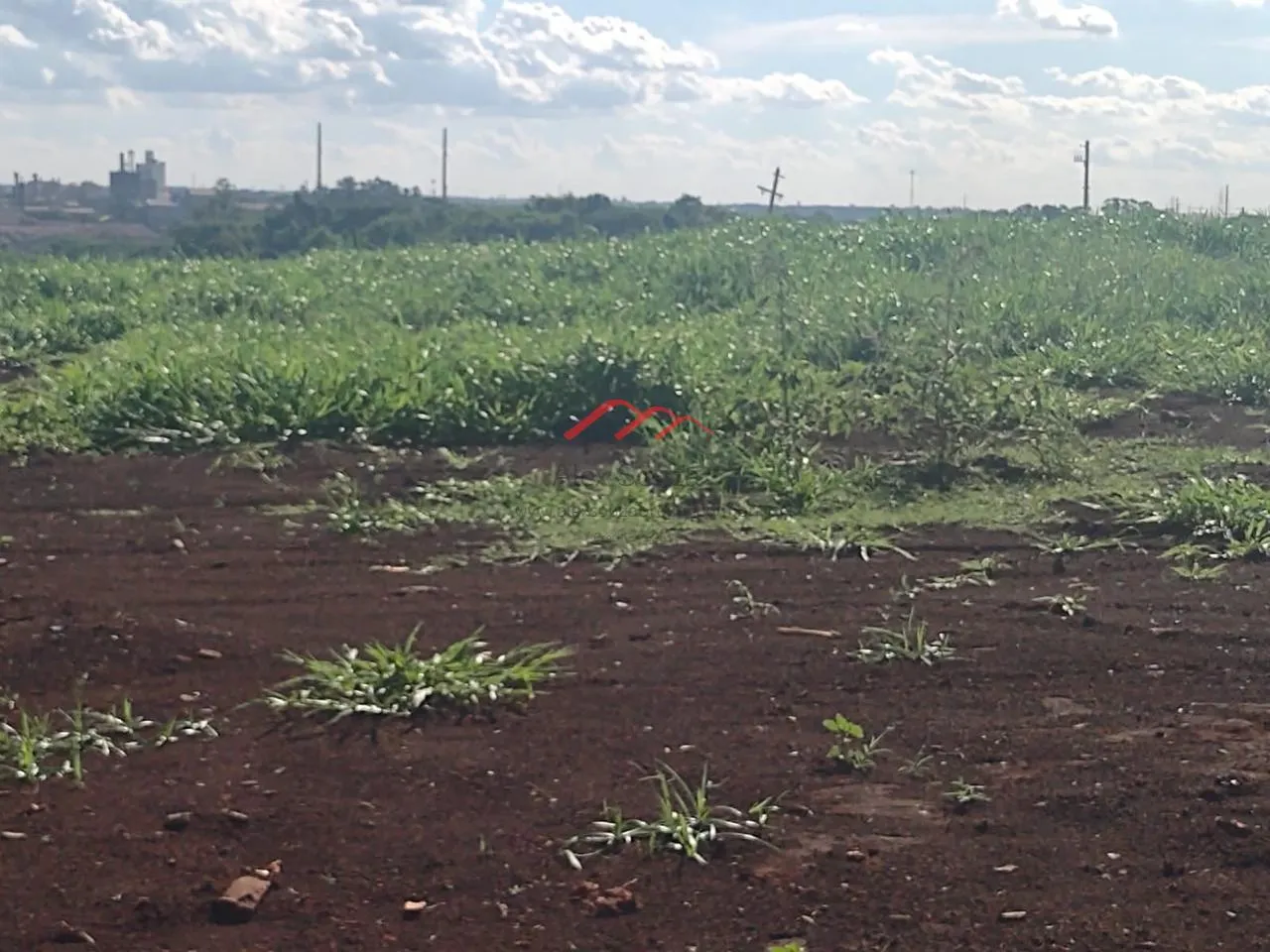 Imagem Terreno em Condomínio para Venda em Paulínia, Betel