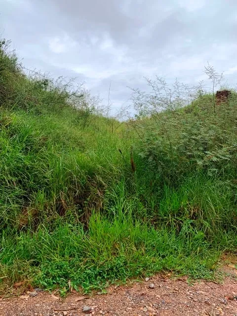 Imagem Chácara à venda 1666.67M², Goiabal, Pindamonhangaba - SP