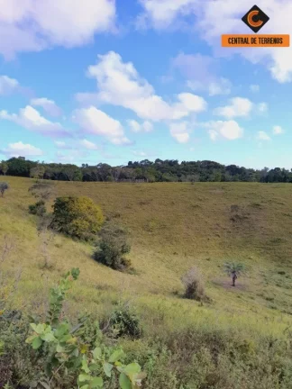 Imagem FAZENDA EM MATA DE SÃO JOÃO