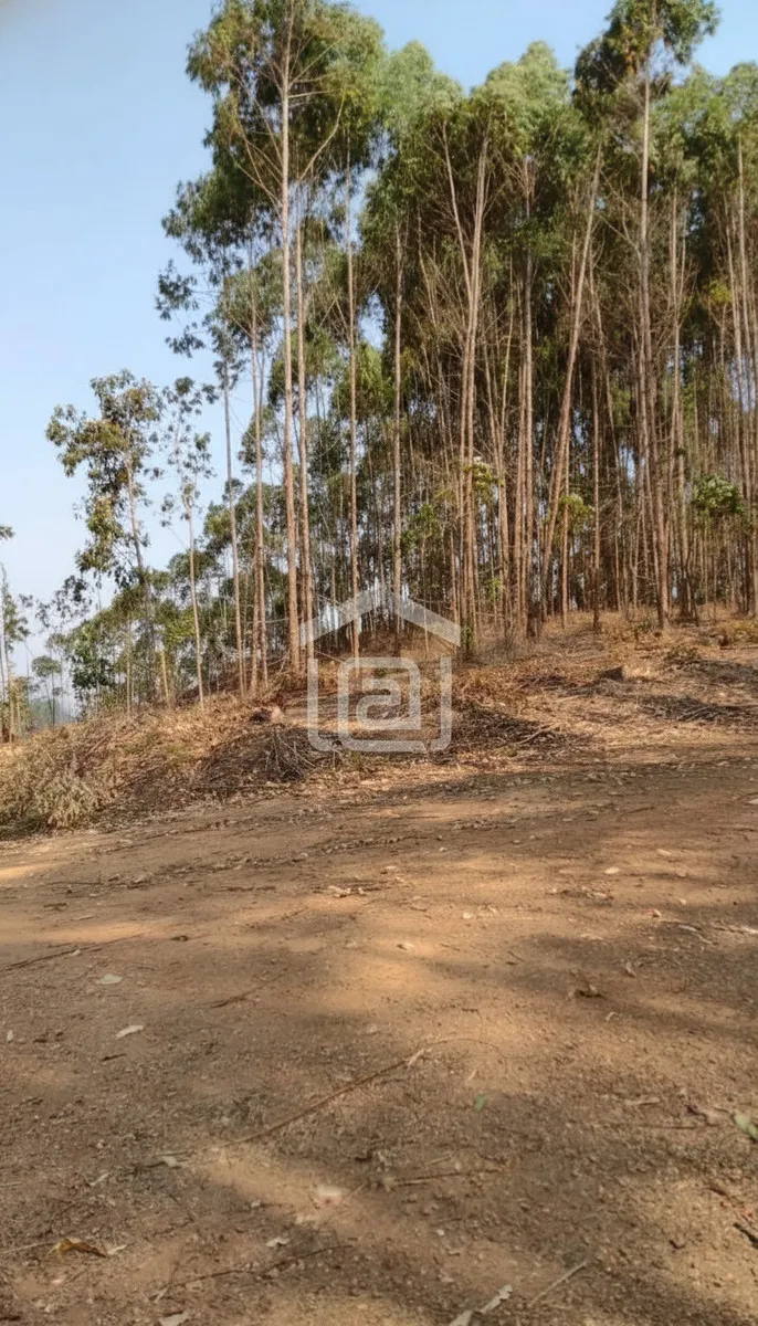 Sítio 24 m² à venda em Pocinhos do Rio Verde, Caldas