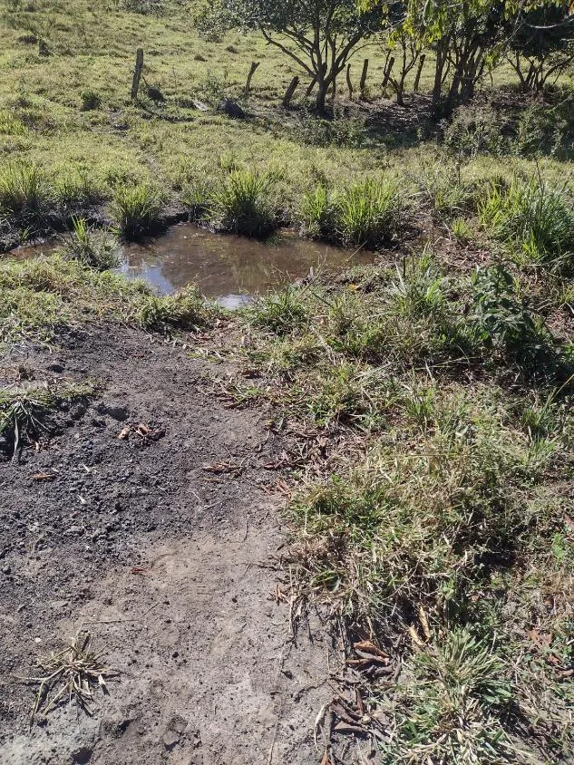 Imagem Vendo terreno em Crucilândia com 48 hectares de terra