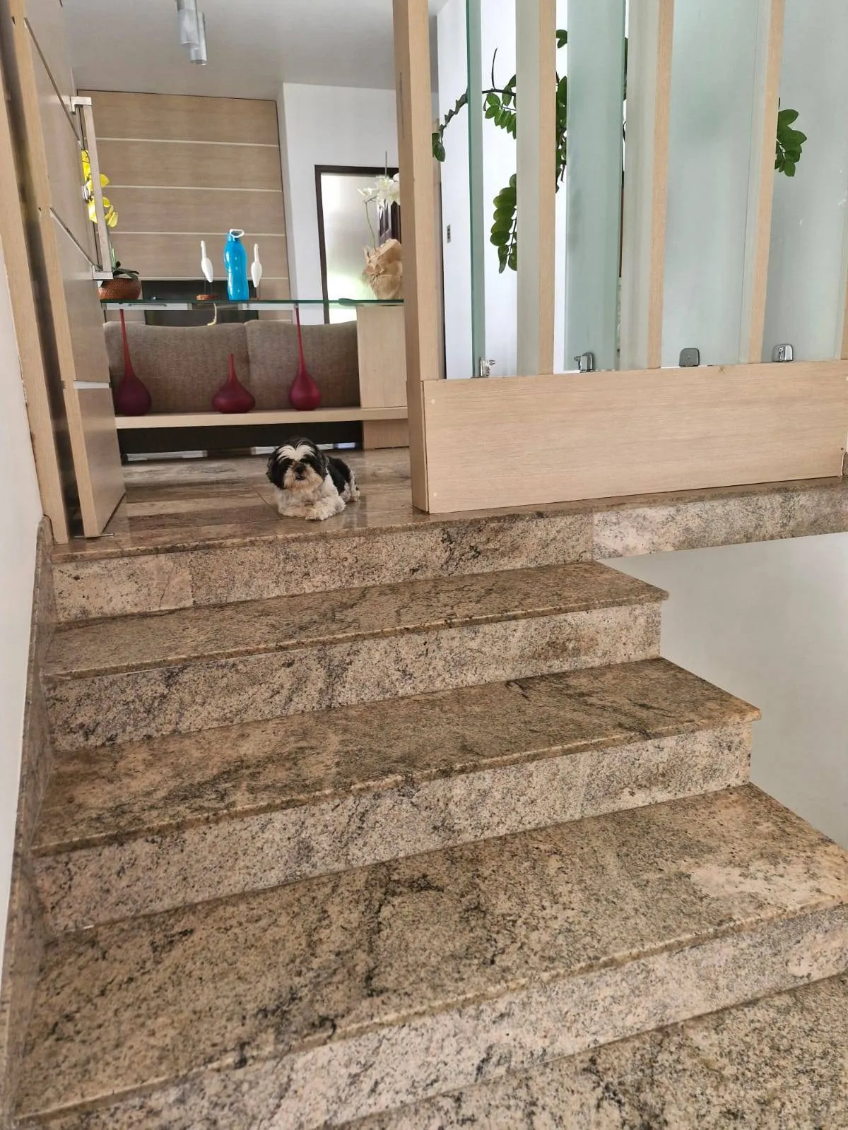 Imagem Casa com 5 quartos, 755m2, à venda em Salvador, Itaigara