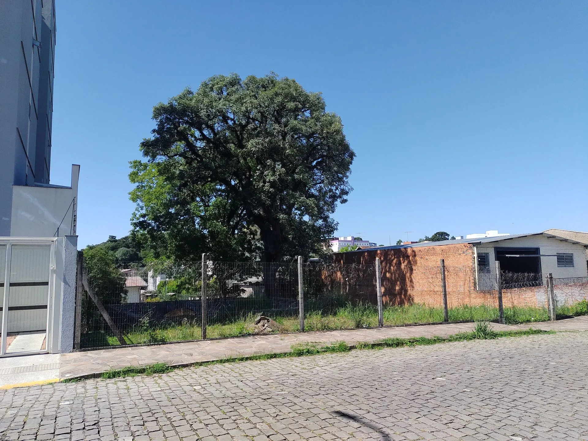 Imagem Terreno à venda em Caxias do Sul, Presidente Vargas, 728.16m2