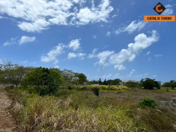 Foto do imóvel TERRENO EM BARRA DO JACUÍPE