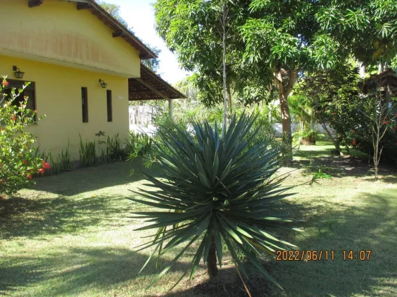 Imagem Yellow House Algodões