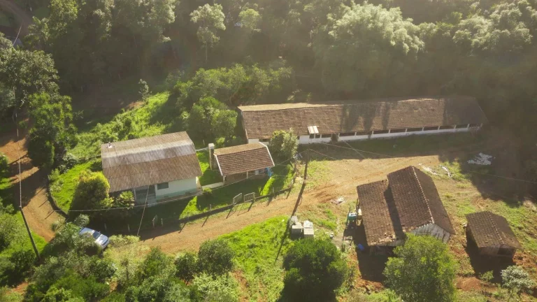 Imagem Área Agrícola para Venda em Lindóia do Sul, Rural