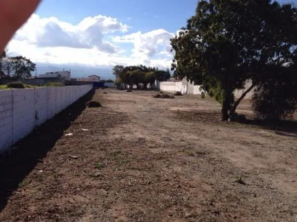 Imagem Terreno à venda 5000M², Crispim, Pindamonhangaba - SP