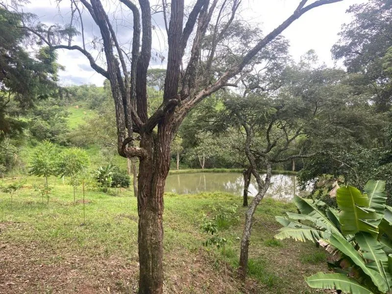 Imagem Vendo Excelente Chácara em Entre Rios de Minas - - Área de 1,6 hectares