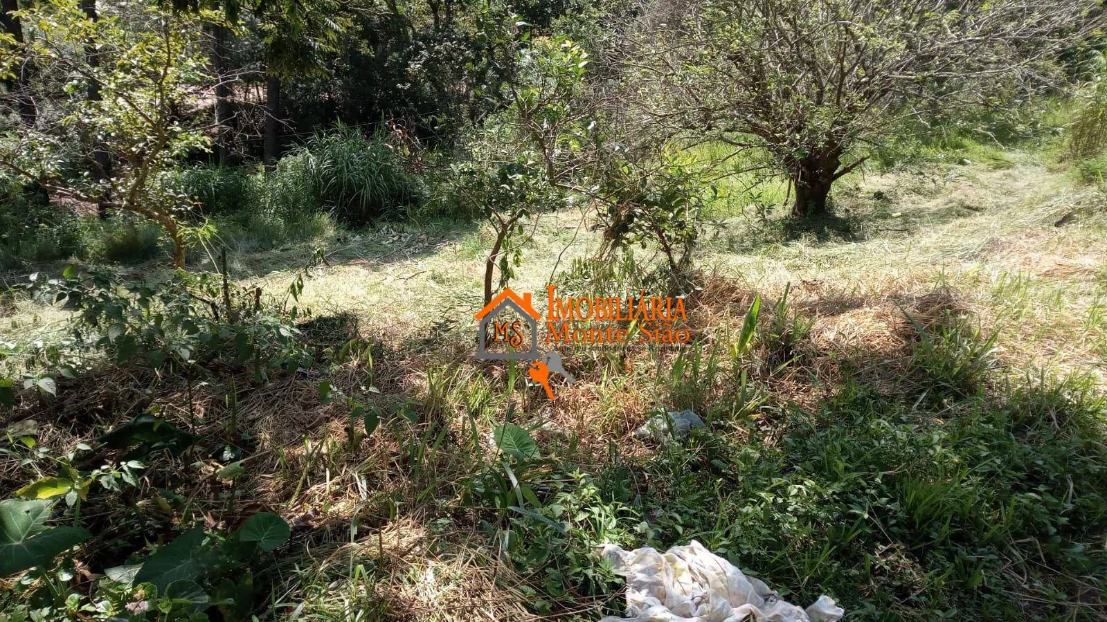 Foto do imóvel Terreno à venda, 1000 m² por R$ 490.000 - Água Azul - Guarulhos/SP