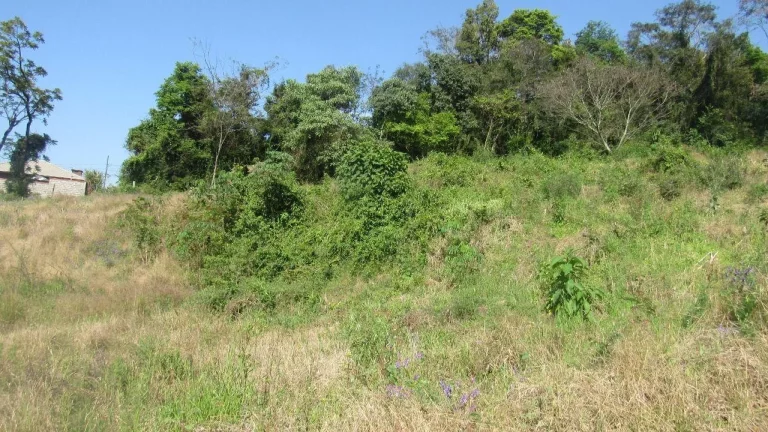 Imagem Terreno para Venda em Concórdia, Primavera