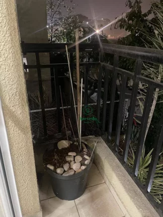 Imagem Apartamento com 2 dormitórios para alugar, 50 m² por R$ 2.127,00/mês - Jardim Albertina - Guarulhos/SP