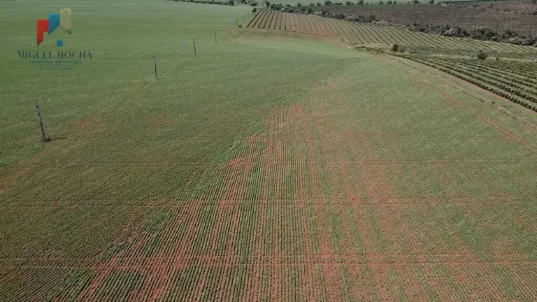 Imagem Sítio a venda Itai SP