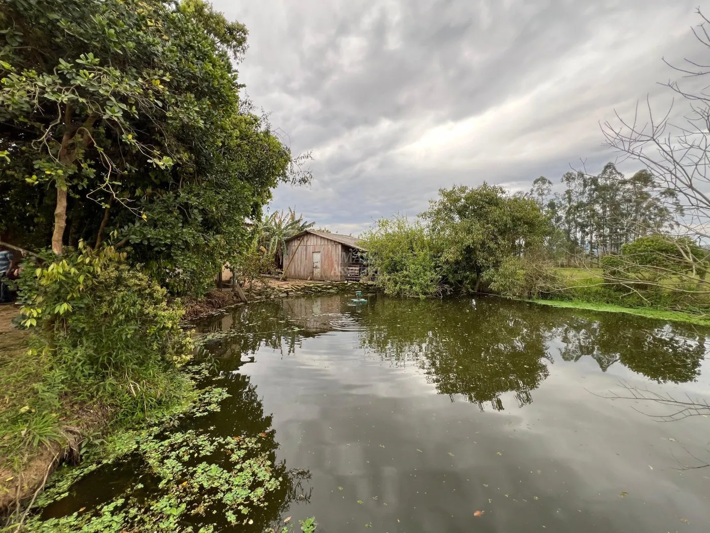 Imagem Excelente Chácara à venda em Lomba Grande - Novo Hamburgo/RS