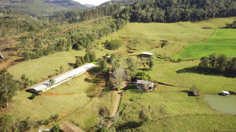 Imagem Área Agrícola para Venda em Concórdia, Rural