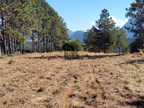 Imagem Terreno para Venda em Teresópolis, Albuquerque