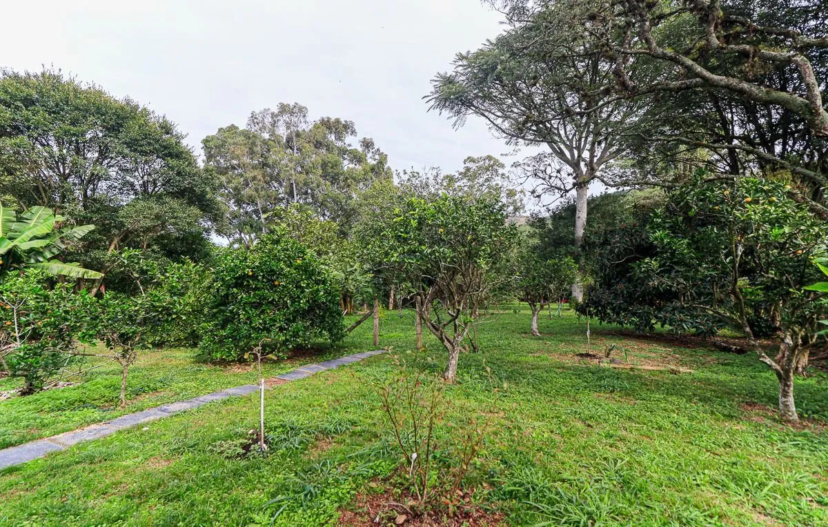 Imagem Casa em Belém Novo