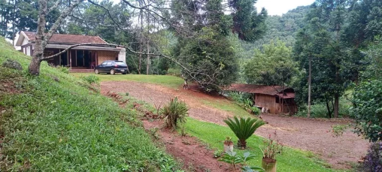Imagem Área Agrícola para Venda em Lindóia do Sul, Interior