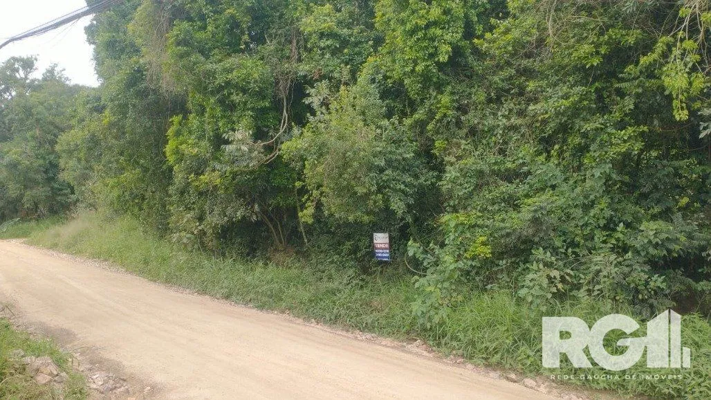 Imagem Terreno em Fiuza