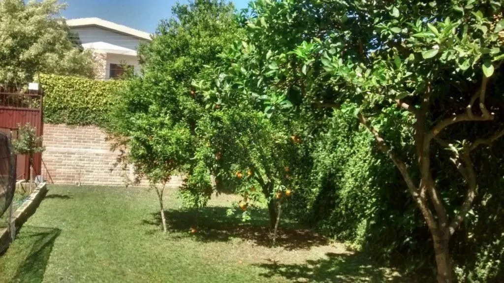 Imagem Casa com 3 dormitórios e amplo pátio com grama.