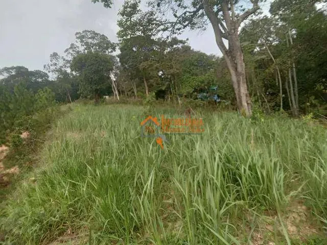 Imagem Terreno à venda, 5000 m² por R$ 2.500.000,00 - Chácara das Lavras - Guarulhos/SP