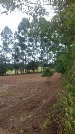 Imagem Terreno excelente a venda para Chácara com 8 mil m² no asfalto - em Quadra