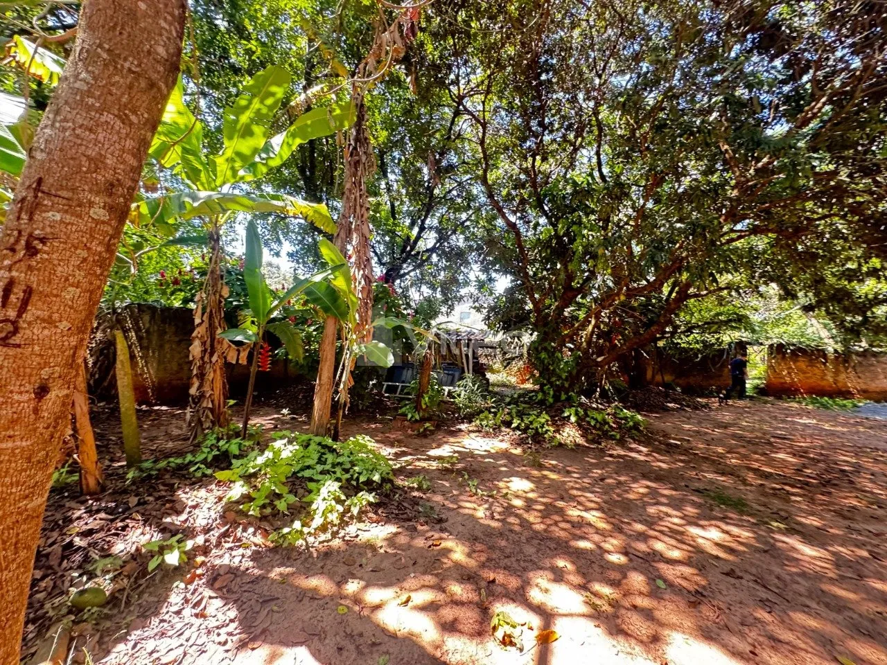 Imagem A área total disponível é de aproximadamente 4.000 m², com possibilidade de desmembramento em lo...