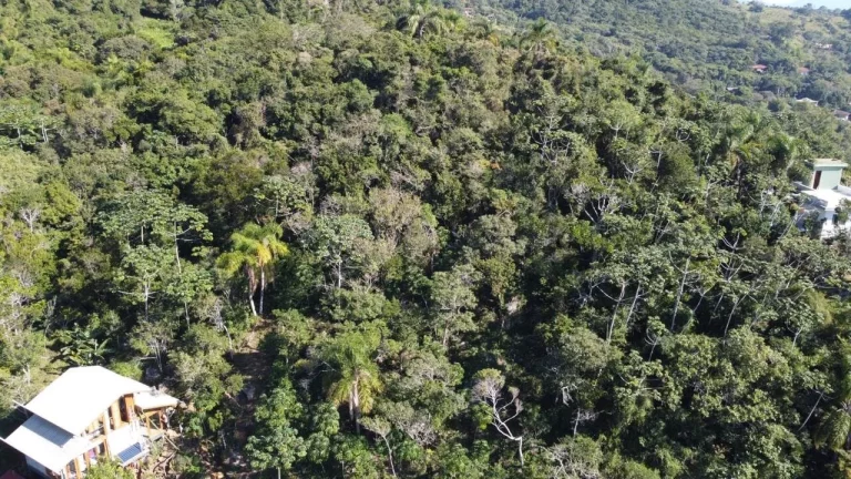 Imagem Terreno à Venda em Garopaba-SC, Praia da Gamboa, 973,63 m² de Área com Vista Mar!