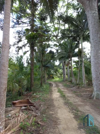 Imagem Chácara/Sítio, propriedade produtiva, 30 hectares com plantação de palmito pupunha, em Guaratuba PR