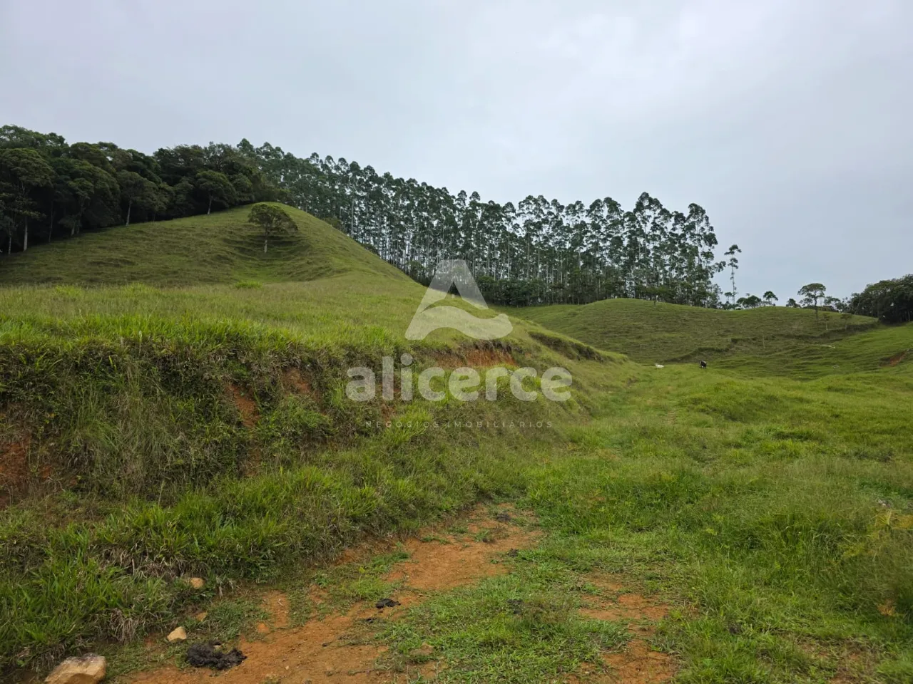 Imagem Sítio à venda em Antônio Carlos, SC, na Zona Rural - Morro da Gloria.