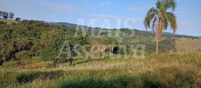 Imagem Exclente chacara de 2,3 hectares em Lomba Grande, Novo Hamburgo