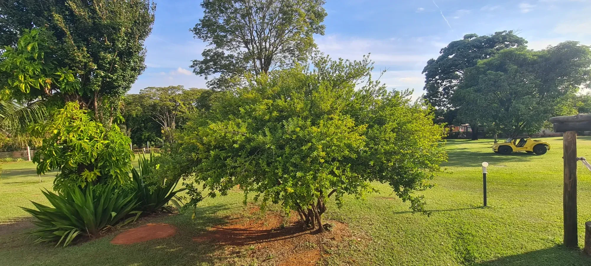 Foto do imóvel: Chácara com 4 Quartos à Venda, 387 m² em Área Rural de Cesário Lange - Cesário Lange